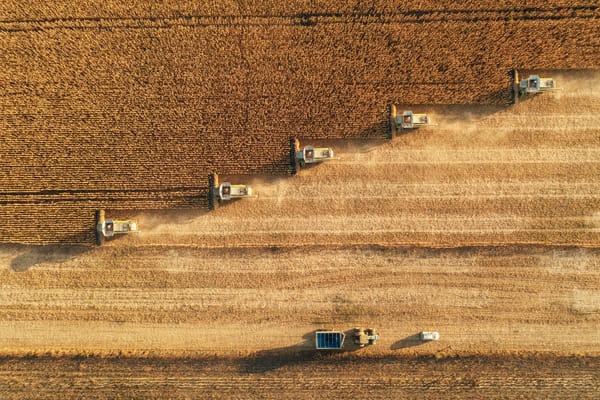 Precision Farming for Global Food Security. AI and the Fourth Agricultural Revolution